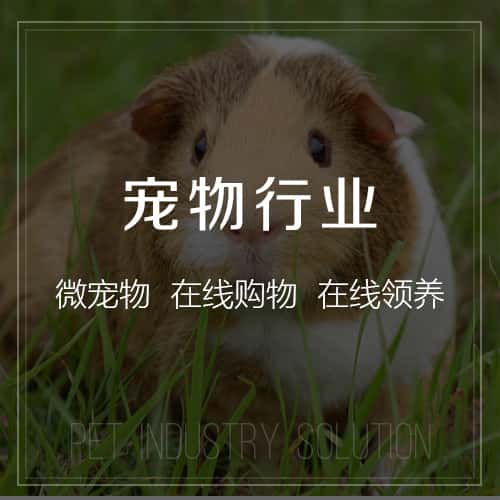 昌吉回族宠物