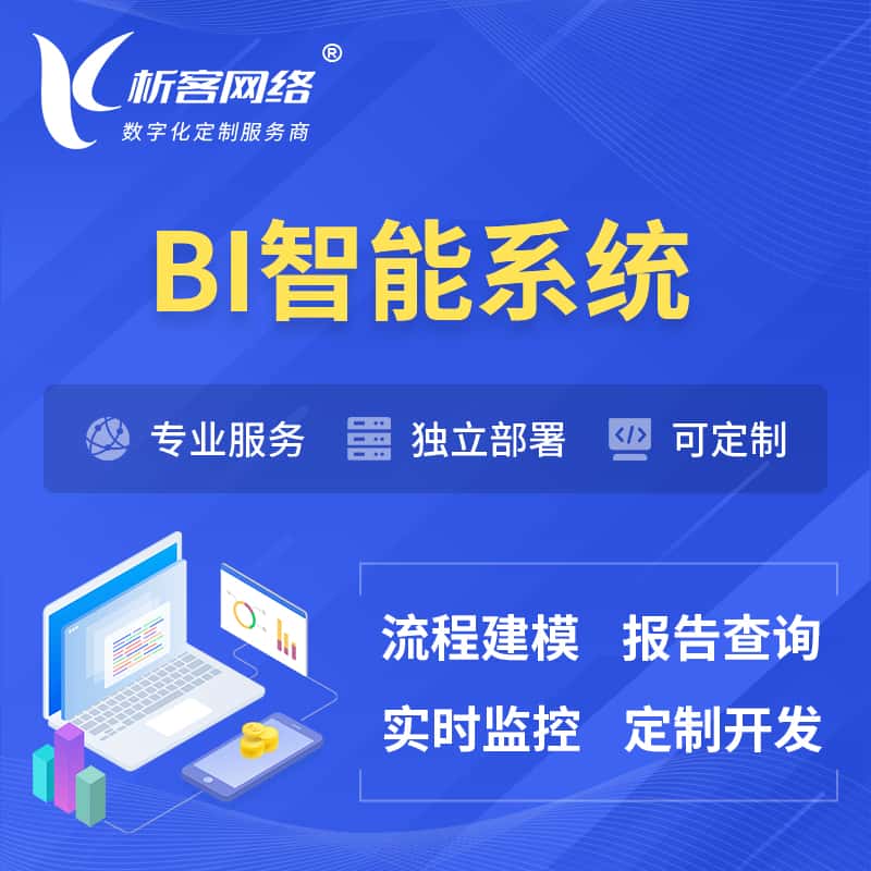 昌吉回族BI智能系统 | BI数据可视化